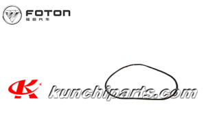 Foton Auman Weichai P161200090187 Belt 10 * 1075la Perffaith WMDL Power